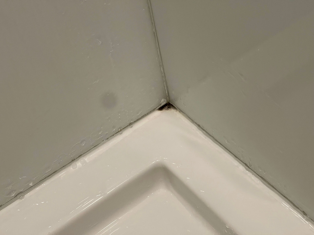 Espace 4 Saisons主图