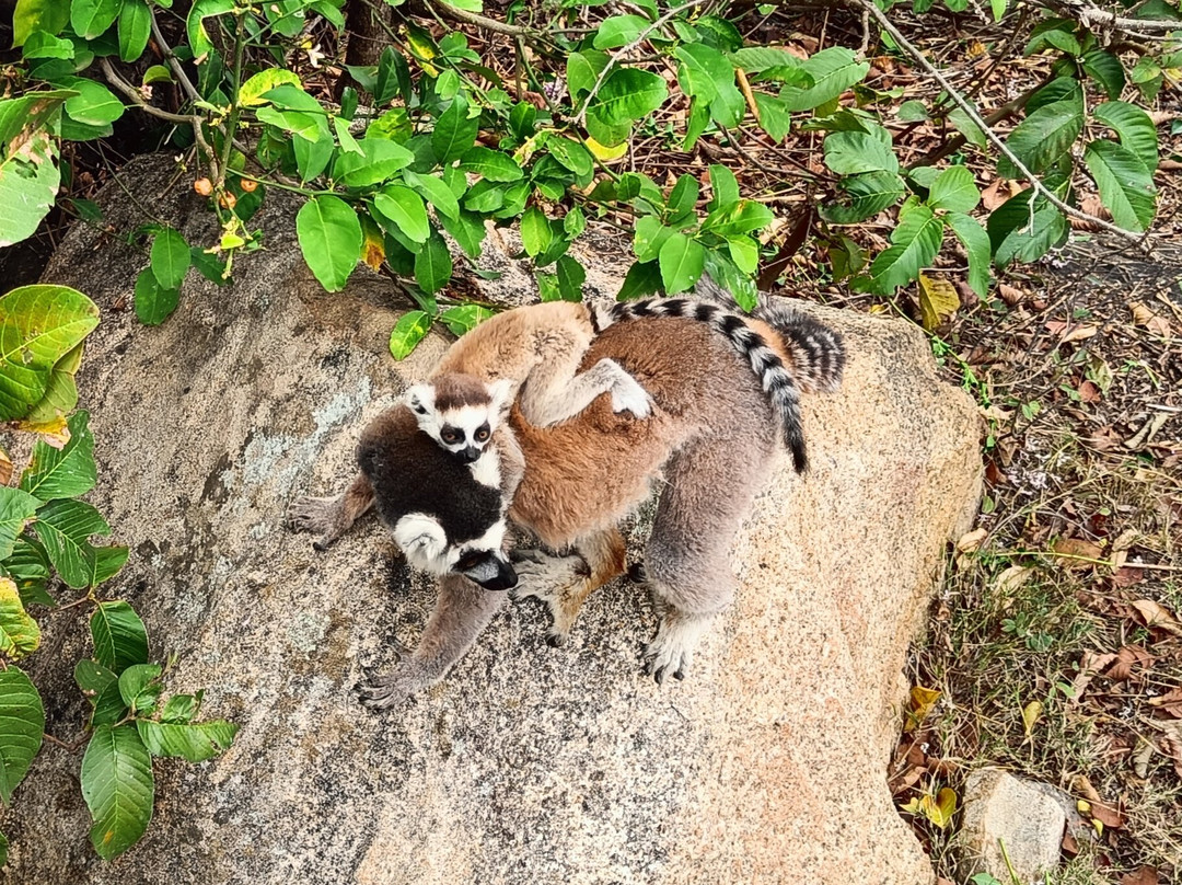 Tour Malin Madagascar-Talatamaty必去景点
