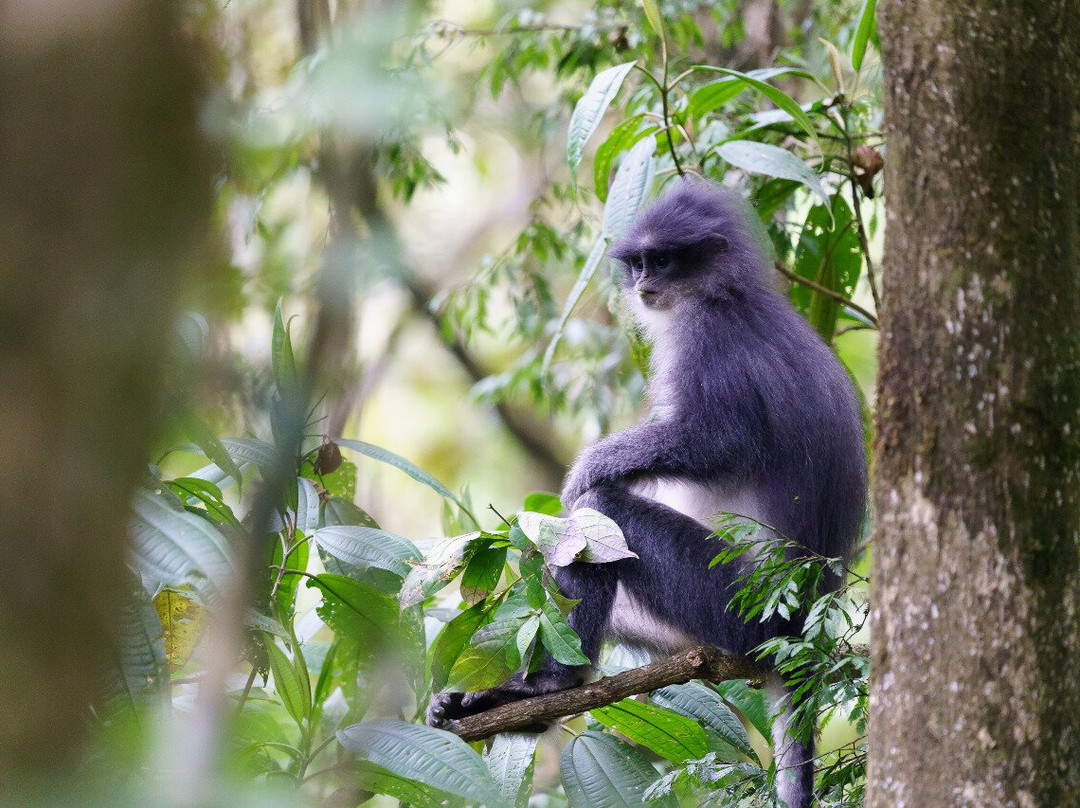 Ujung Kulon Trek-Carita必去景点