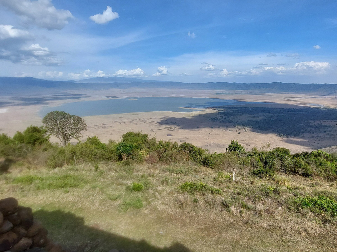 Predators Safari Club-阿鲁沙必去景点