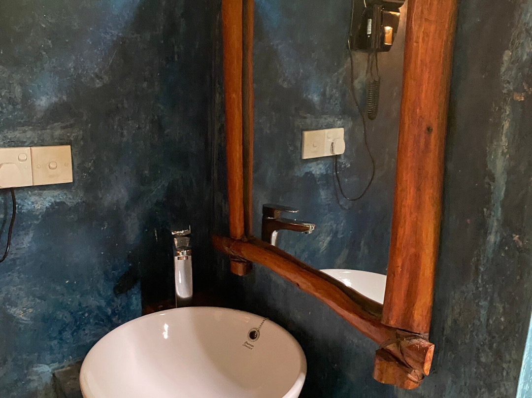 Rainforest Edge主图