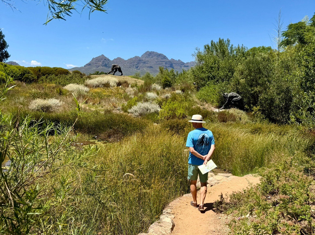 Dylan Lewis Sculpture  Garden-斯泰伦博斯必去景点