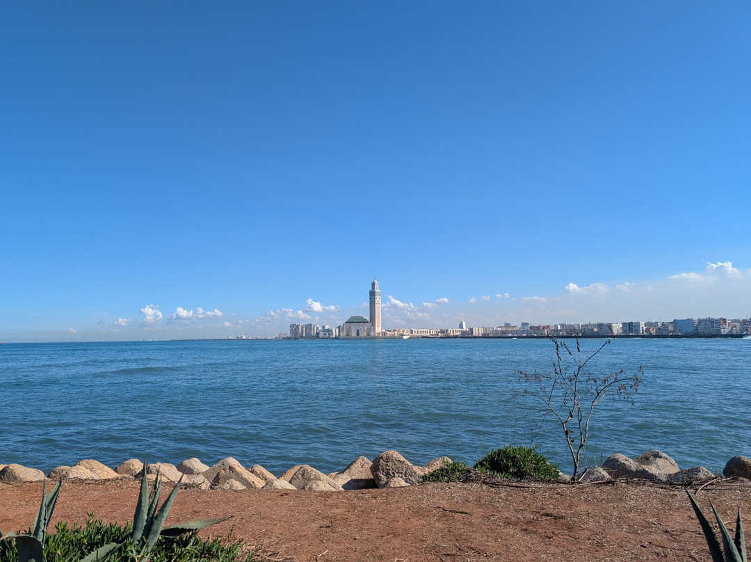 Touring in Morocco-梅如卡必去景点