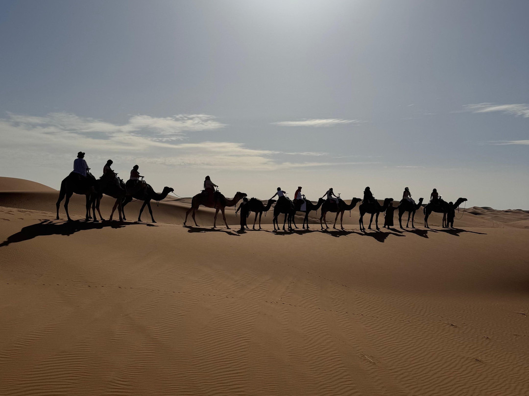 Adventures Desert-迈哈米德必去景点
