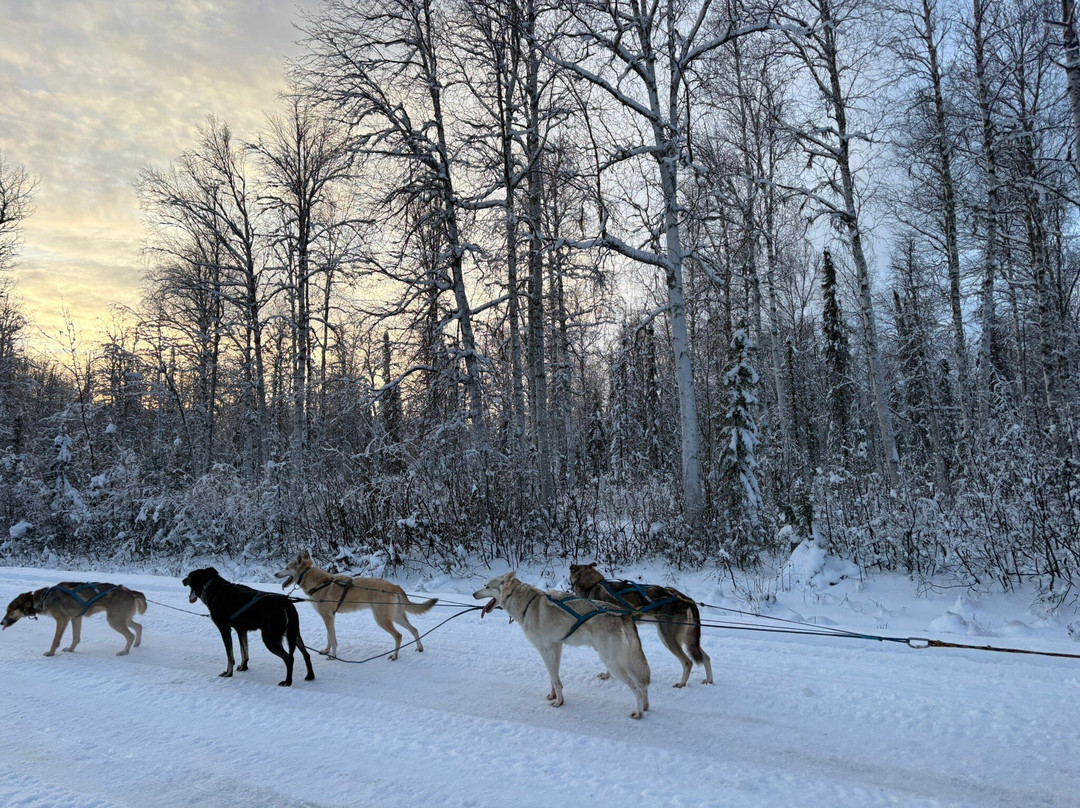 Snowhook Adventure Guides of Alaska-Willow必去景点