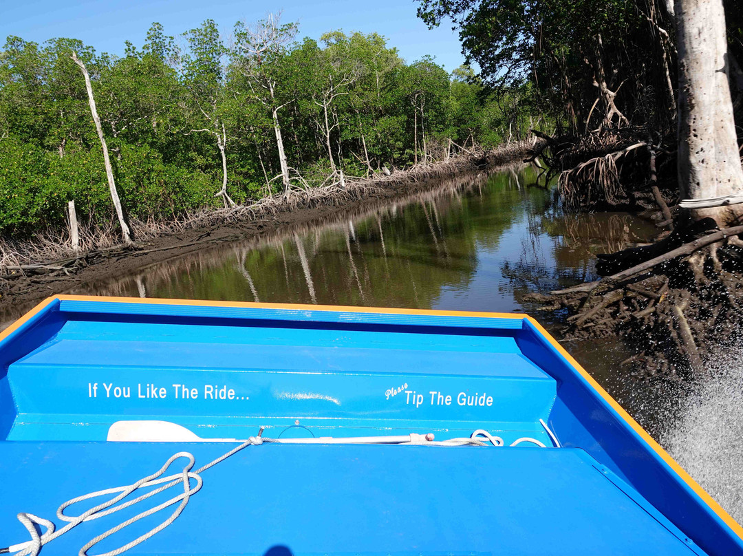 Everglades City Airboat Tours-大沼泽地必去景点