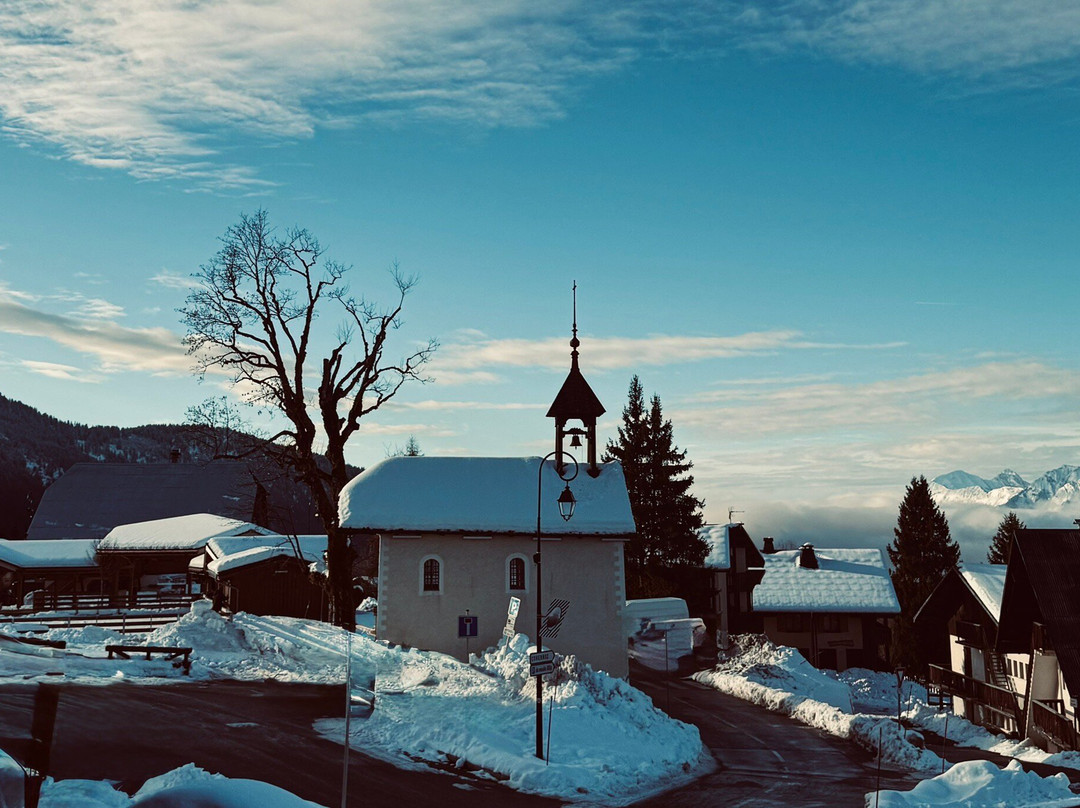 Chalet Hôtel du Mont Charvin主图