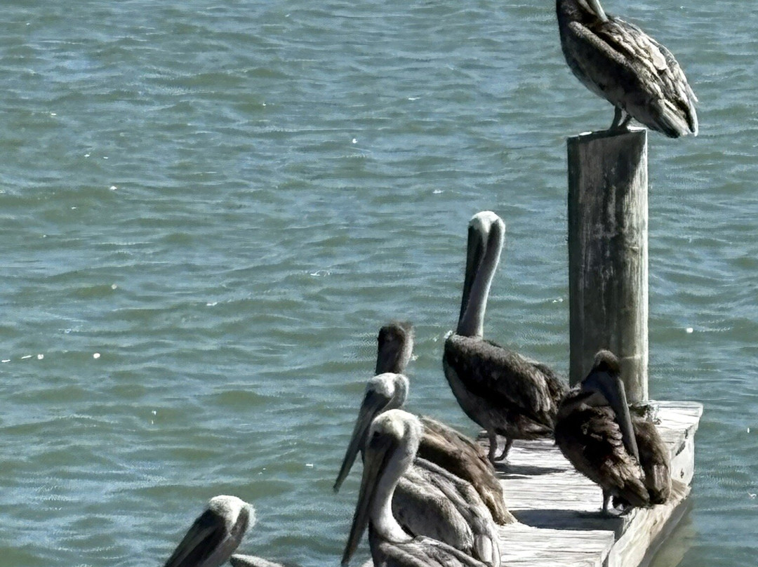 Blues Chill and Grill主图