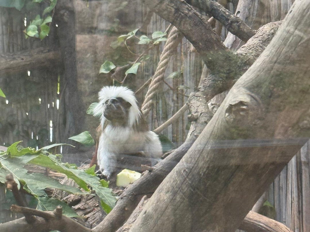 Terra Natura Benidorm-贝尼多姆必去景点