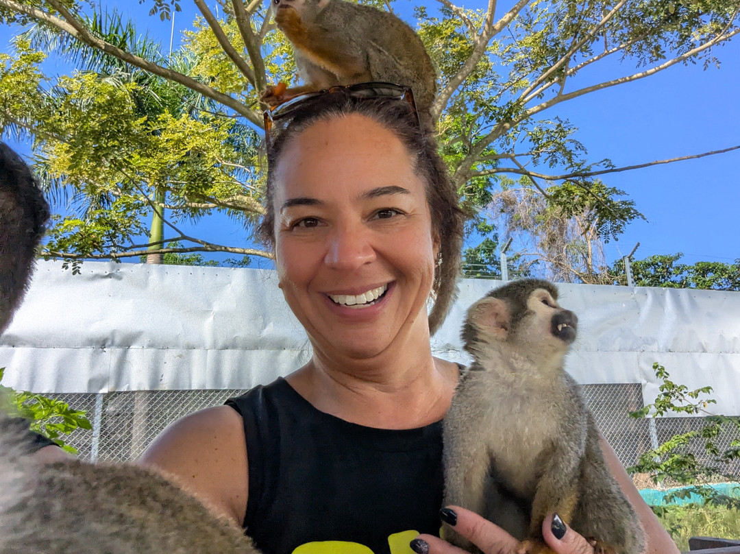 Monkey Home Puerto Plata-普拉塔港必去景点