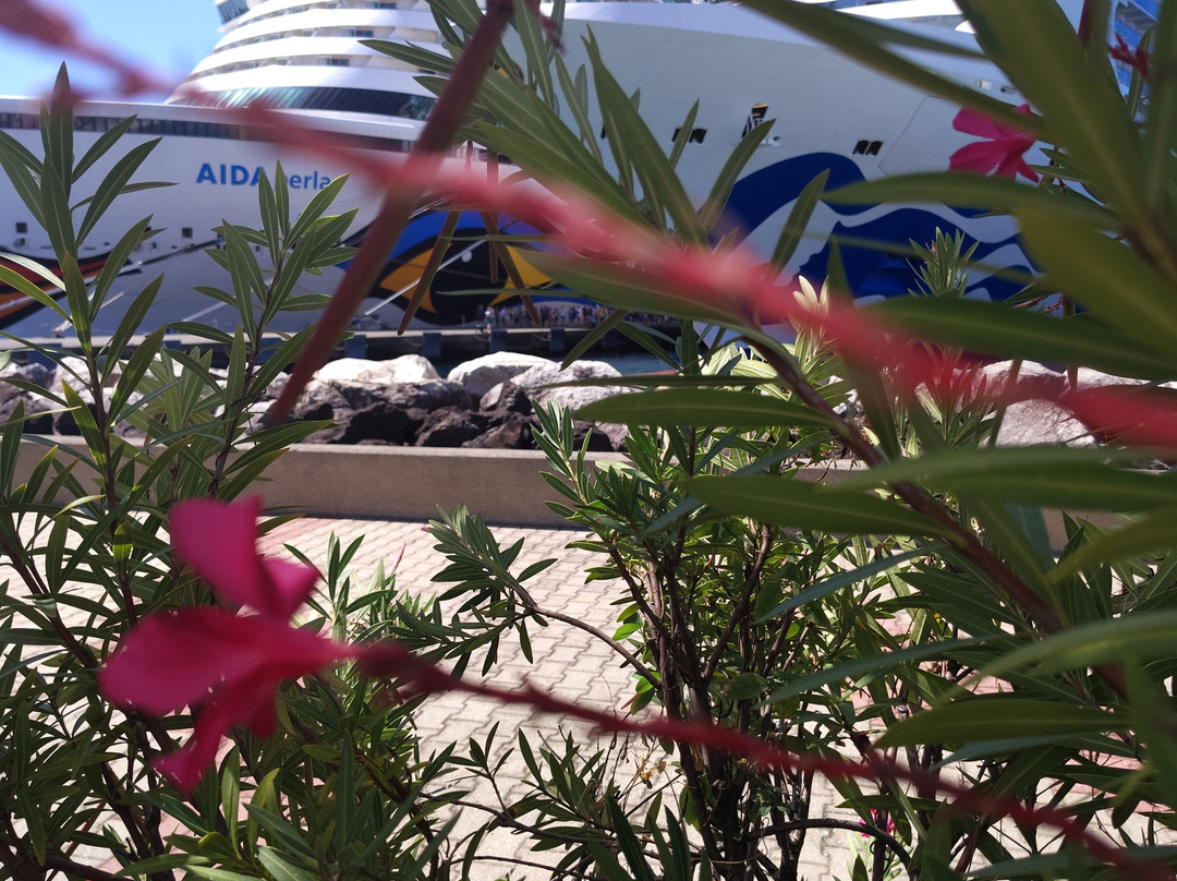 St George's Town-St. George's必去景点