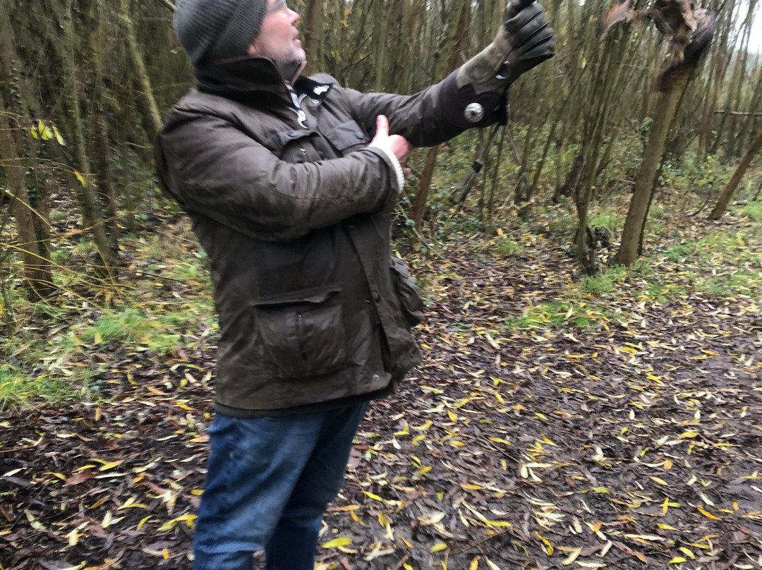 Bird on the Hand Falconry Experiences-Church Langton必去景点
