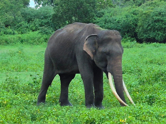 Holiday Dream Travels-卡卢特勒必去景点