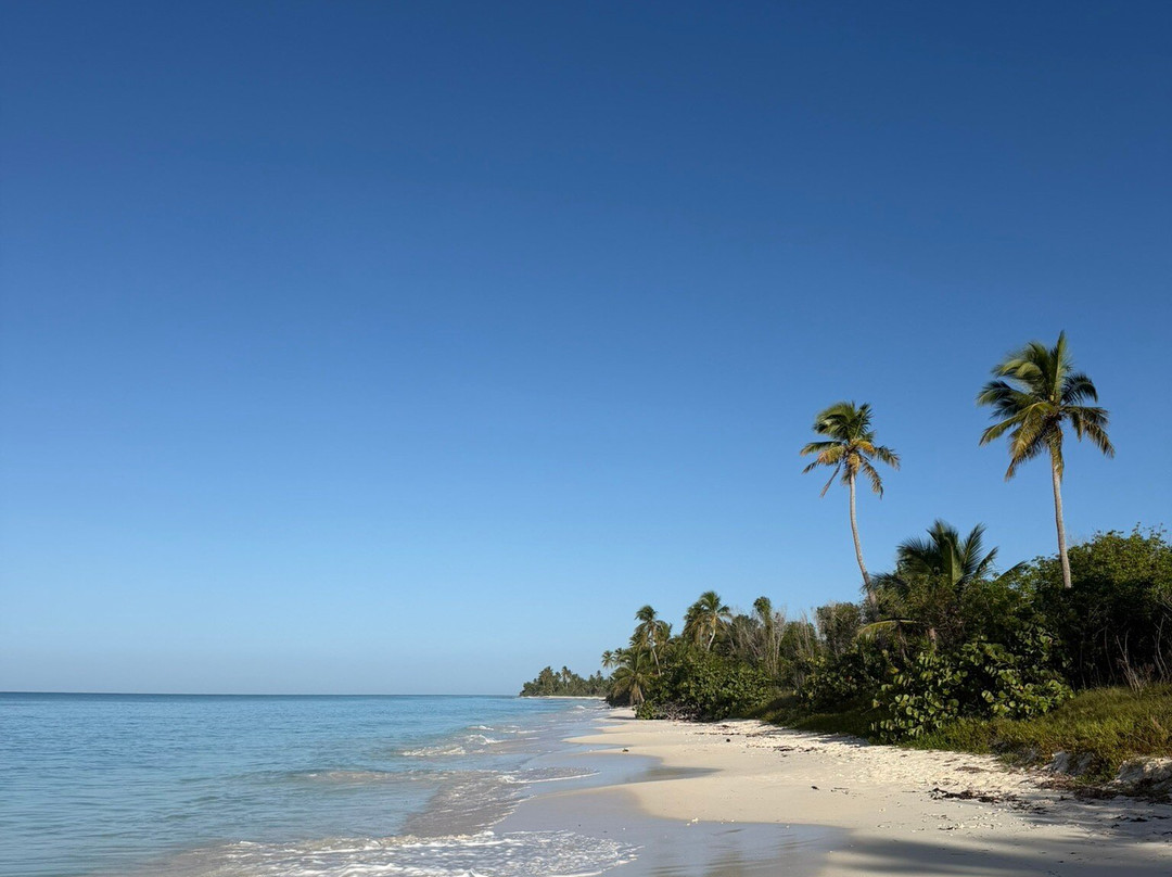 Mariposa Tours-Bayahibe必去景点