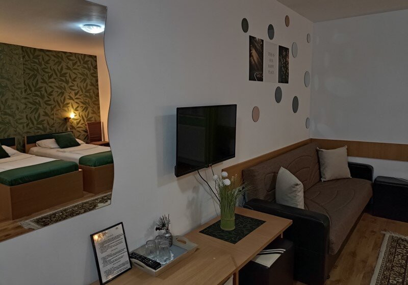 Pensiunea Verde主图