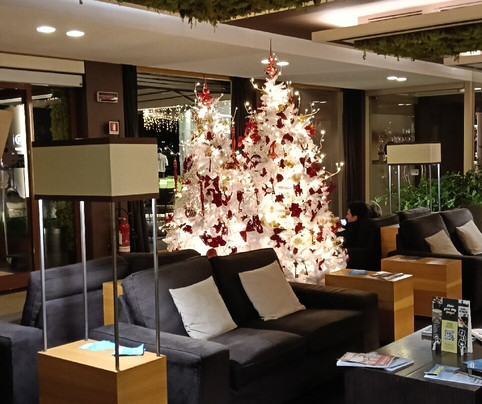 莫西蒂斯别墅酒店主图