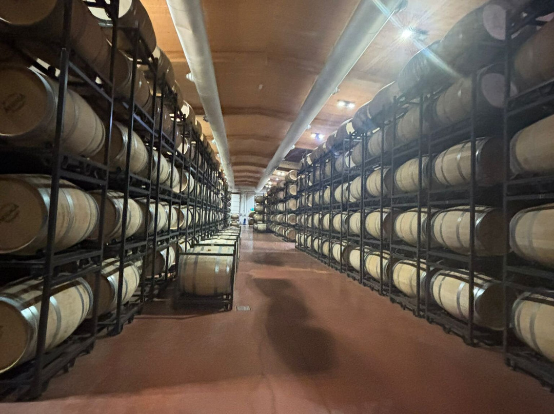 Bodegas Arzuaga Navarro-Quintanilla de Onesimo必去景点