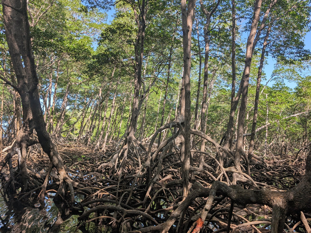 Peninsula Tours Las Terrenas-拉斯特拉纳斯必去景点