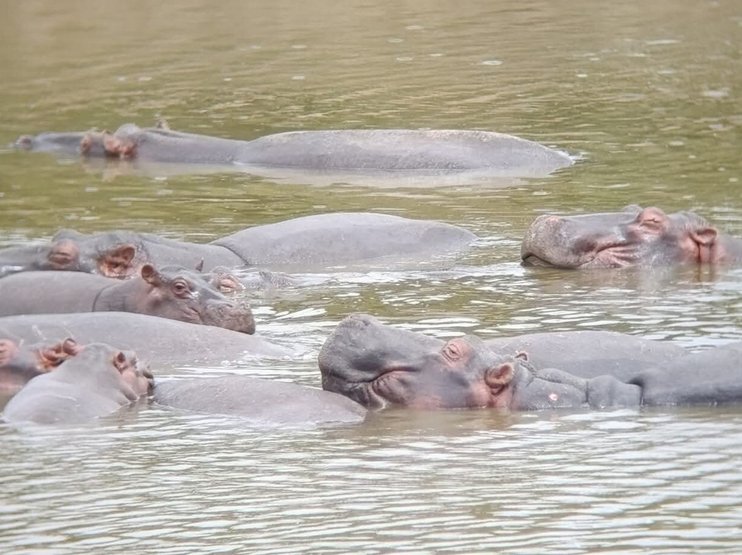 Flexivel Kenya Safaris-内罗毕必去景点