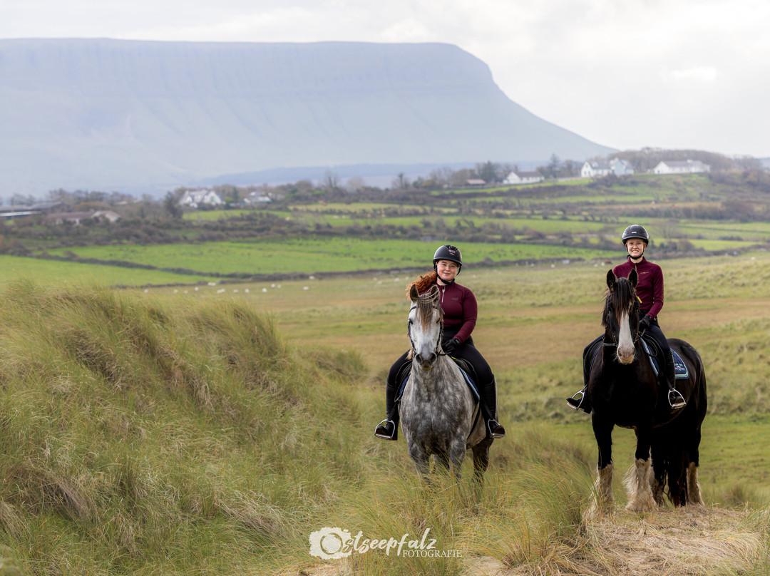 Island View Riding Stables-Grange必去景点
