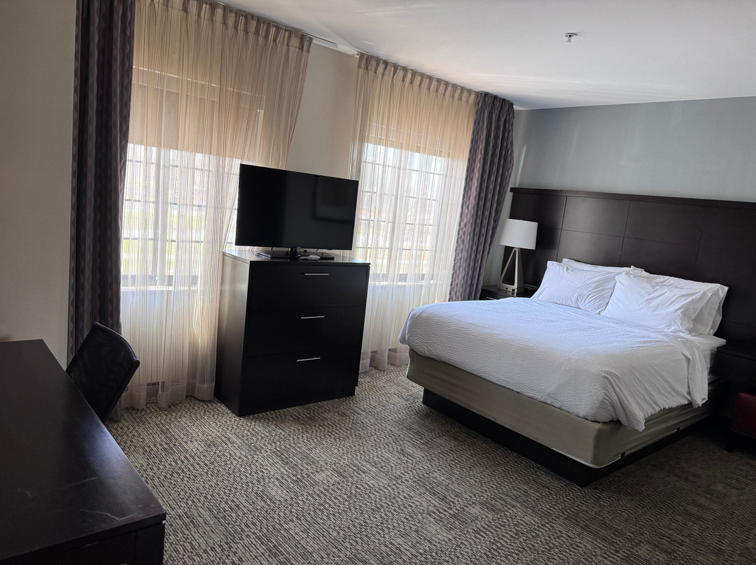 Staybridge Suites Ann Arbor - Univ of Michigan by IHG主图