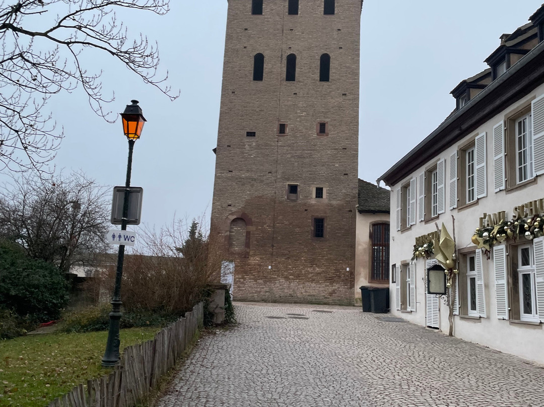 沃邦拦河坝-斯特拉斯堡必去景点