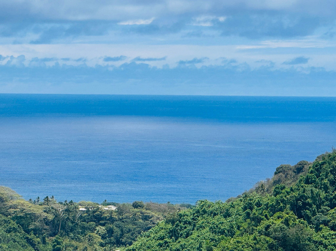 Raro Mountain Safari Tour-拉罗汤加必去景点