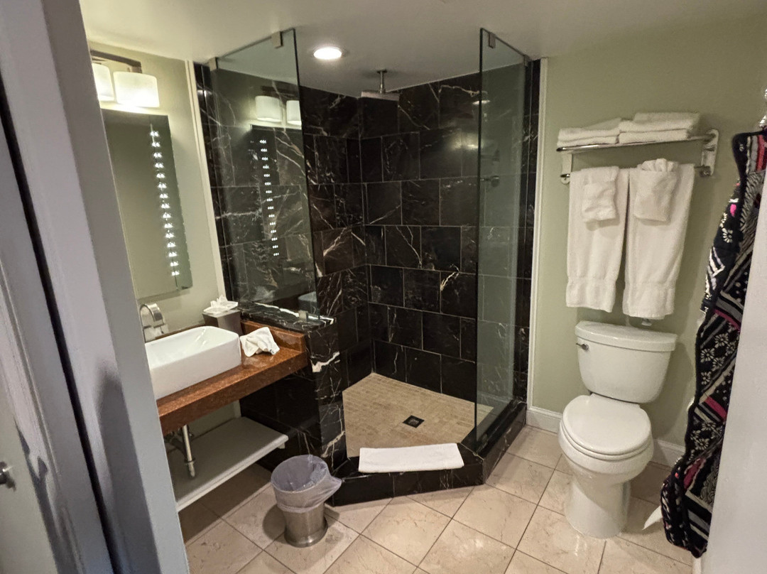 The Gin Hotel, Ascend Hotel Collection主图