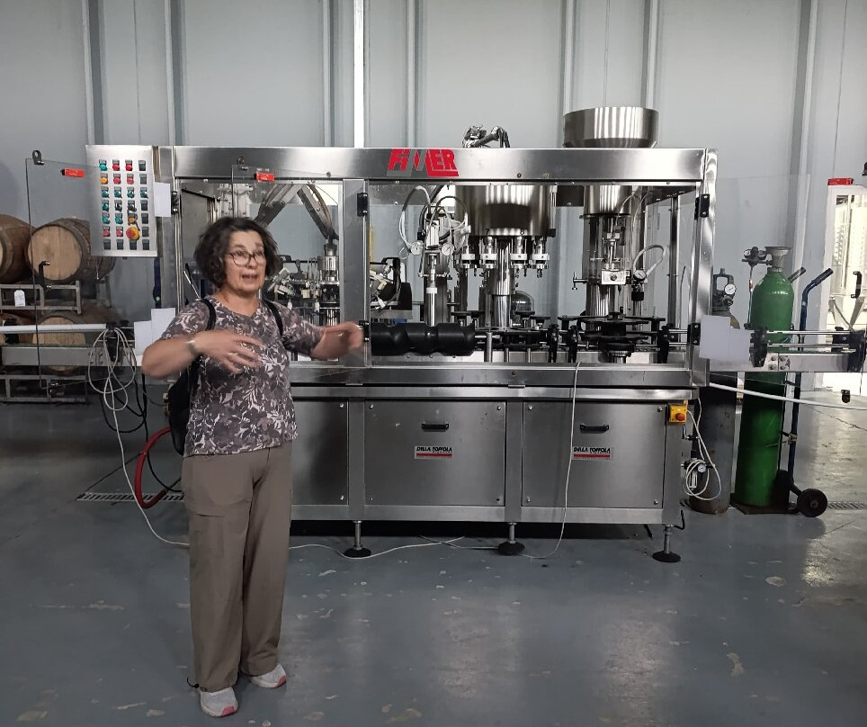 Wapisa Winery-Viedma必去景点