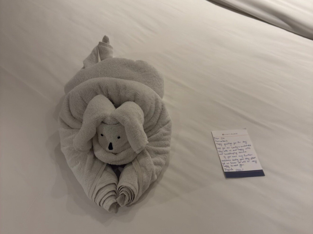 Hyatt Place Vadodara主图