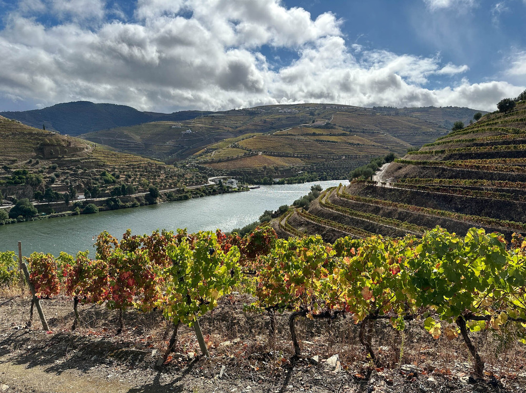 Douro Walks-Ervedosa do Douro必去景点