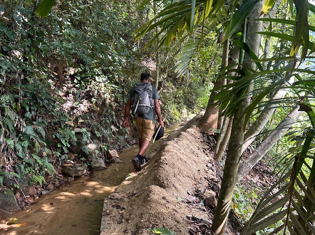 Kandy Trekking Tours-康提必去景点
