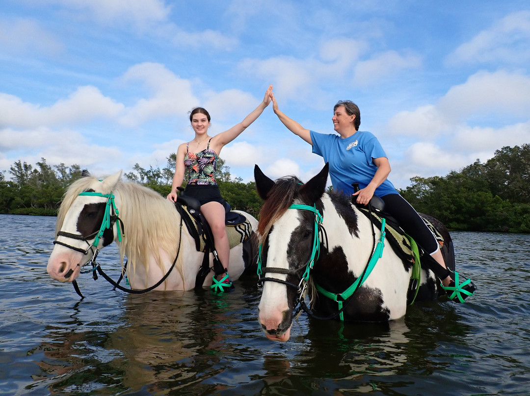 C Ponies Beach Horseback Rides-布雷登顿必去景点