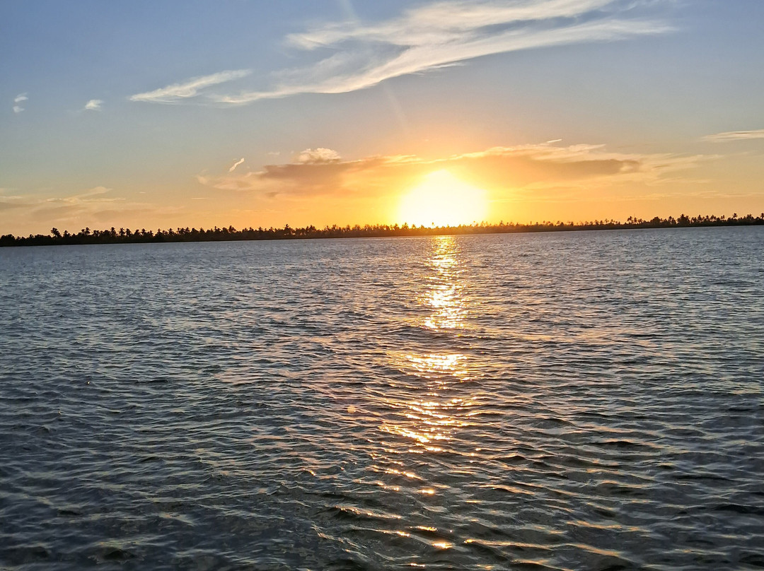 Farol da Foz Ecoturismo-Piacabucu必去景点