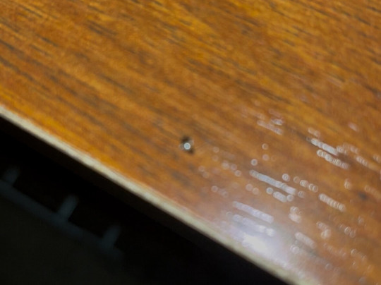 Comfort Inn Moline - Quad Cities主图