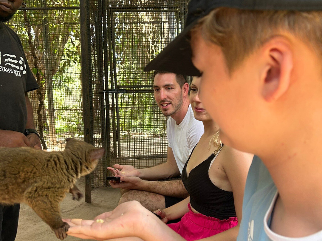 猎豹动物园-桑给巴尔岛必去景点