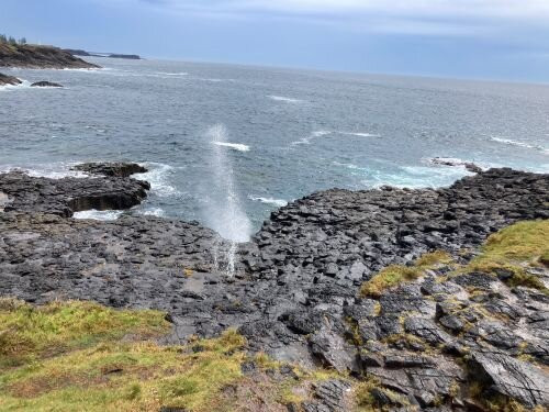 Little Blowhole Reserve “Endeavour Lookout”-凯马必去景点