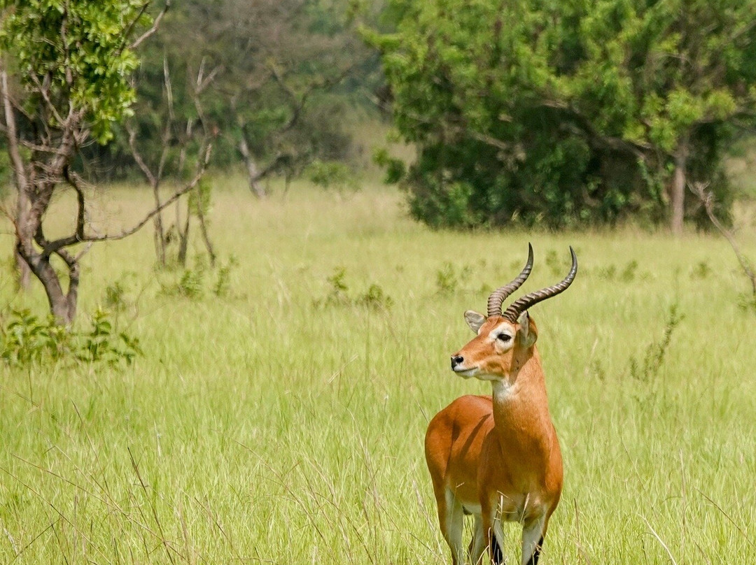 Adventure Birding Tours-特马必去景点