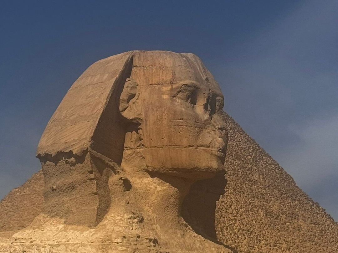 Odynovo Tours Co., Ltd.-悉尼必去景点