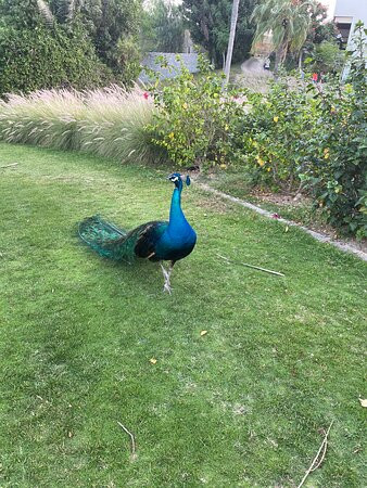 棕榈树水疗酒店主图