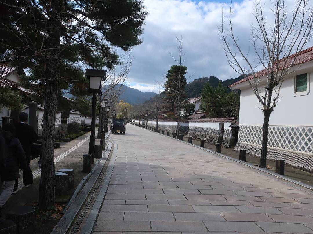 Tonomachi Street-津和野町必去景点