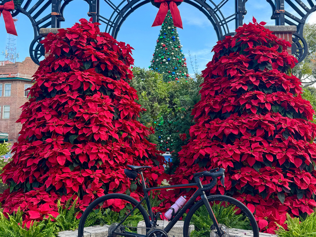 The Ride Xperience Bike Rentals-奥兰多必去景点