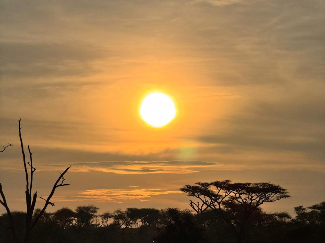 Masumin car hire & safaris-姆万扎必去景点