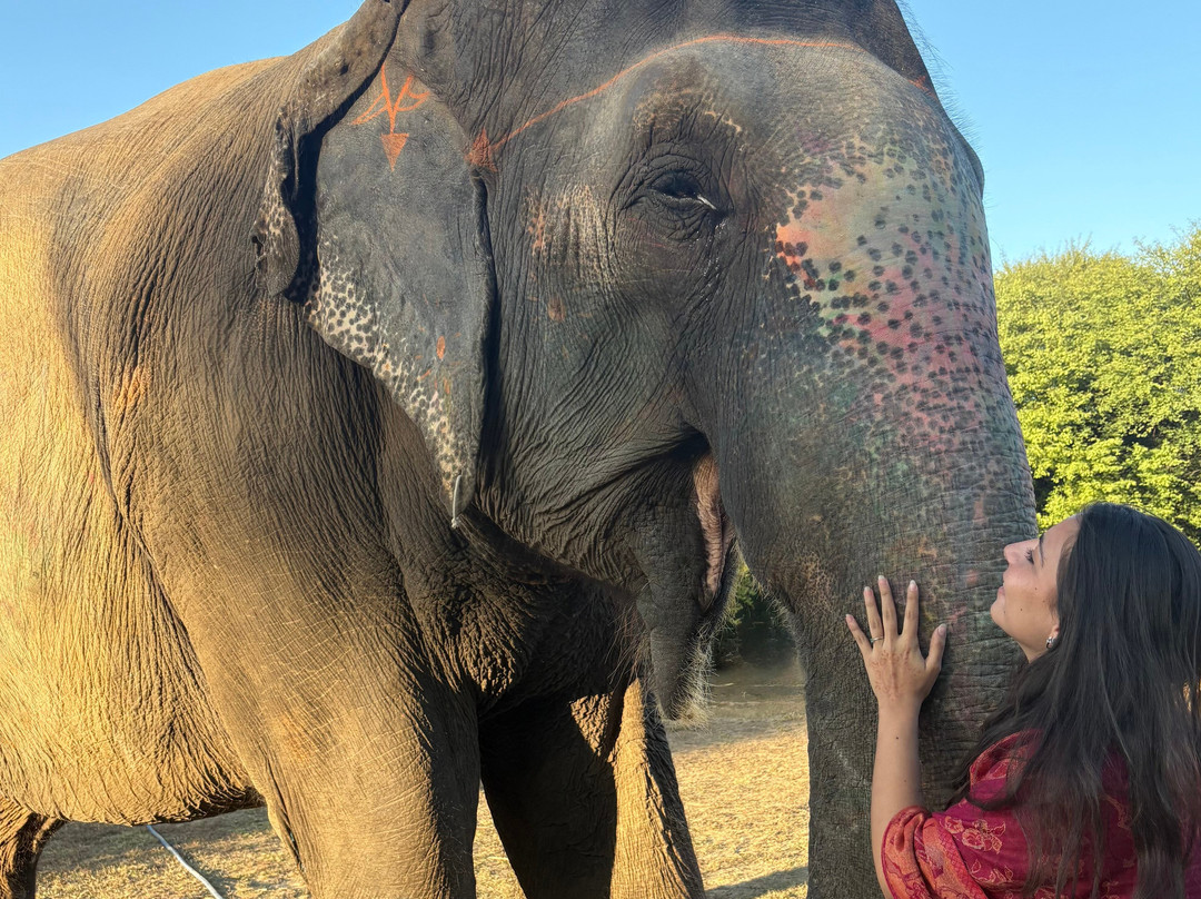 Elefanjoy Elephant Sanctuary-斋蒲尔必去景点