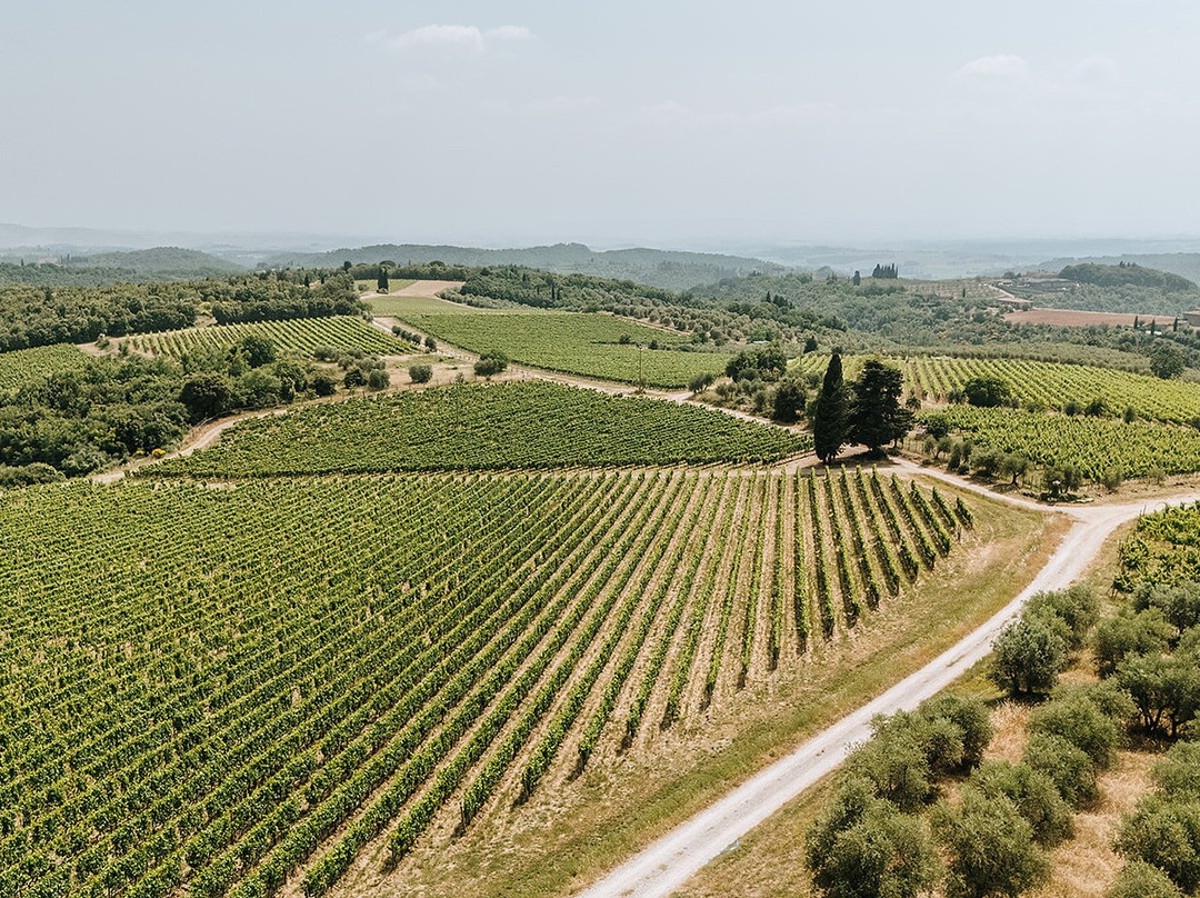 Villa di Sotto主图