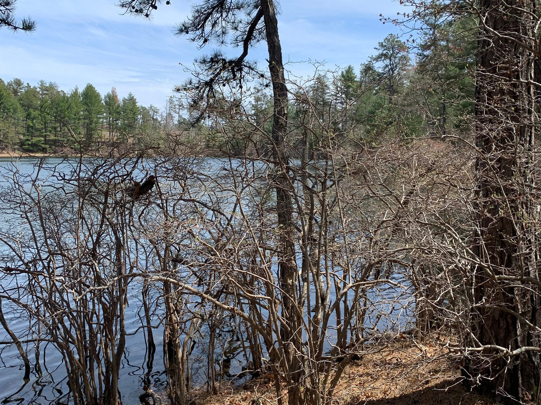 Myles Standish State Forest-普利茅斯必去景点