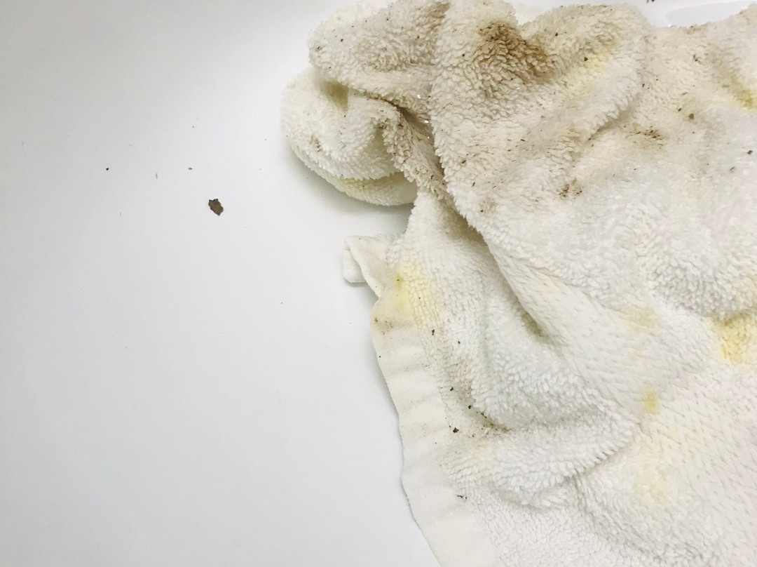 Baymont by Wyndham Lake Park Valdosta I75主图