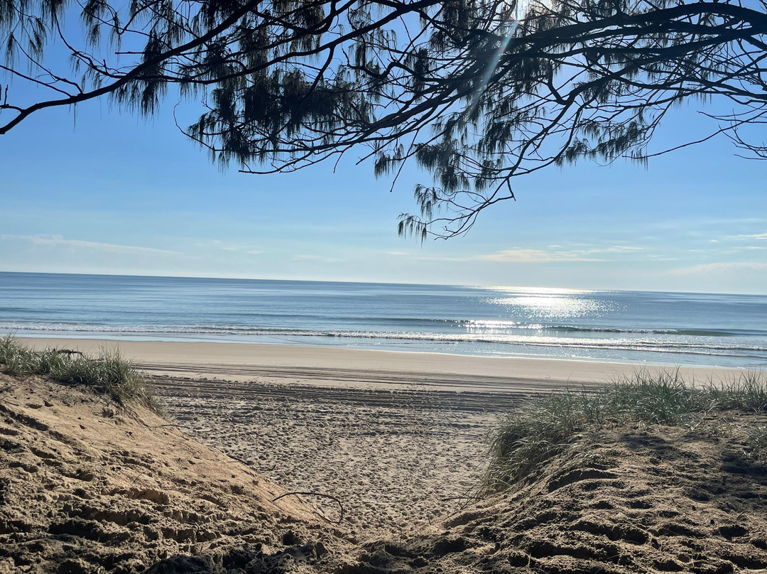 SeaLink South East Queensland-克利夫兰必去景点