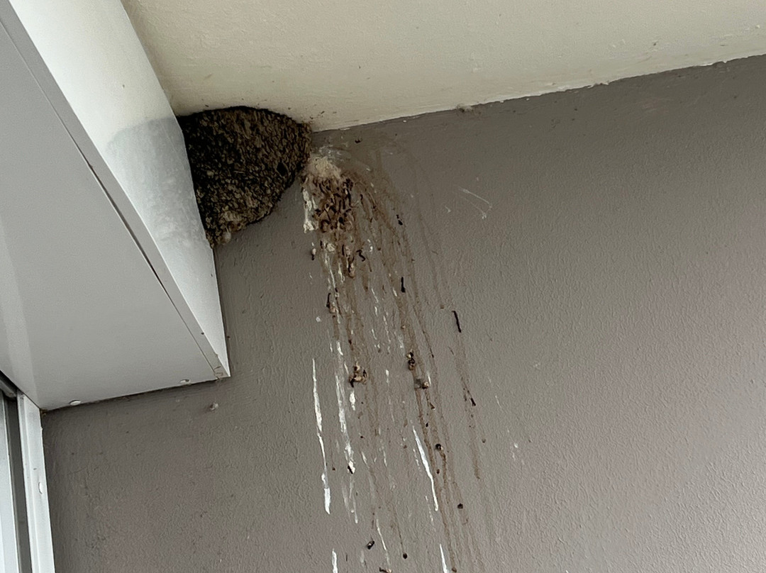 Domaine Des Dryades主图