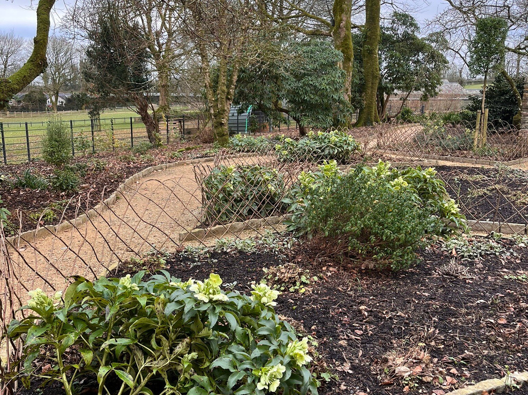 The Story Of Emily-null必去景点